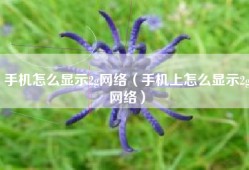手机怎么显示2g网络（手机上怎么显示2g网络）