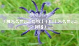 手机怎么显示2g网络(手机上怎么显示2g网络)