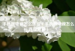 手机跟电视怎么连接（手机跟电视怎么连接蓝牙）