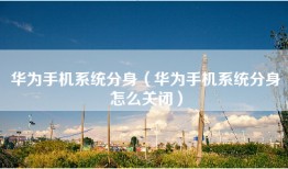 华为手机系统分身（华为手机系统分身怎么关闭）