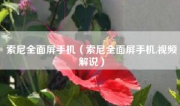 索尼全面屏手机(索尼全面屏手机,视频解说)