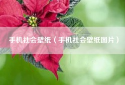 手机社会壁纸（手机社会壁纸图片）
