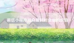 微信小程序简介及其对企业的价值