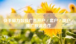 快手磁力智投广告开户／套户／现户／推广投流合作