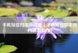 手机短信打不开闪退（手机短信打不开闪退怎么办）