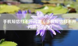 手机短信打不开闪退（手机短信打不开闪退怎么办）