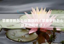 苹果手机怎么设置别的（苹果手机怎么设置别的电话）