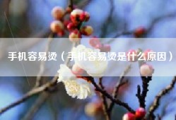 手机容易烫（手机容易烫是什么原因）