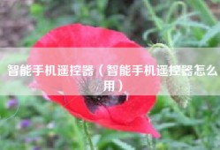 智能手机遥控器（智能手机遥控器怎么用）