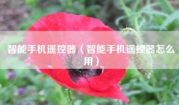 智能手机遥控器（智能手机遥控器怎么用）