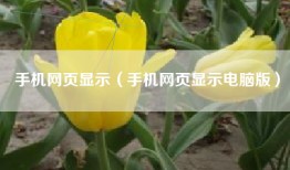手机网页显示（手机网页显示电脑版）