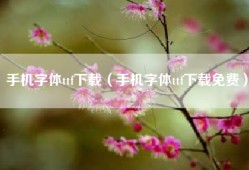 手机字体ttf下载（手机字体ttf下载免费）