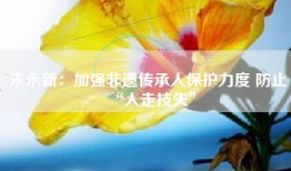朱永新：加强非遗传承人保护力度 防止“人走技失”