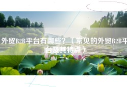 外贸B2B平台有哪些？（常见的外贸B2B平台及其特点）