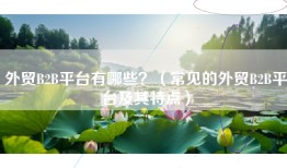 外贸B2B平台有哪些？（常见的外贸B2B平台及其特点）