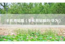 手机用贴膜（手机用贴膜吗 华为）