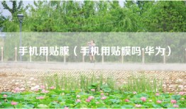 手机用贴膜(手机用贴膜吗 华为)