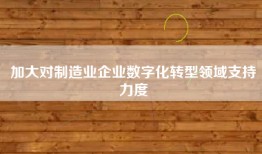 加大对制造业企业数字化转型领域支持力度