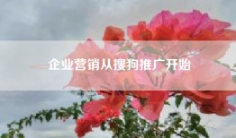 企业营销从搜狗推广开始