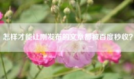 怎样才能让刚发布的文章都被百度秒收？