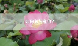 如何参与竞价？
