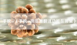 手机uc（手机uc浏览器翻译功能在哪里）
