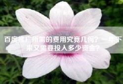 百度推广所需的费用究竟几何？一年下来又需要投入多少资金？