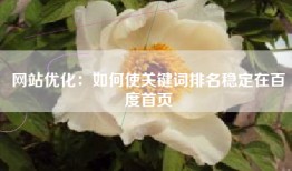 网站优化：如何使关键词排名稳定在百度首页