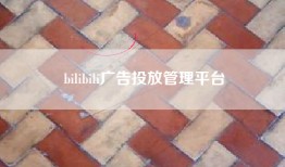 bilibili广告投放管理平台