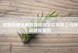昆明助推金鹰教育培训学校有限公司网站建设案例