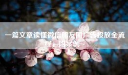 一篇文章读懂微信朋友圈广告投放全流程，附案例~