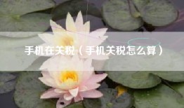 手机在关税（手机关税怎么算）