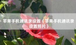 苹果手机通讯录设置（苹果手机通讯录设置照片）