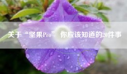 关于“坚果Pro” 你应该知道的20件事