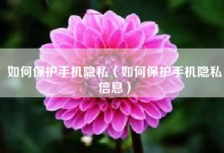 如何保护手机隐私（如何保护手机隐私信息）