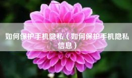 如何保护手机隐私（如何保护手机隐私信息）