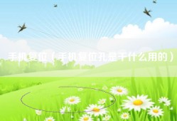手机复位（手机复位孔是干什么用的）