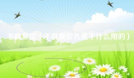 手机复位（手机复位孔是干什么用的）