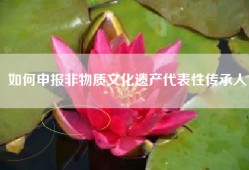 如何申报非物质文化遗产代表性传承人