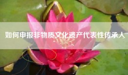 如何申报非物质文化遗产代表性传承人