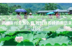 微信支付分怎么看 如何查看我的微信支付分