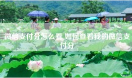 微信支付分怎么看 如何查看我的微信支付分