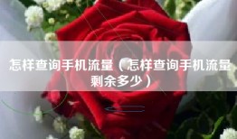 怎样查询手机流量（怎样查询手机流量剩余多少）