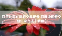 百度地图在哪看交易记录 百度地图看交易记录方法【教程】