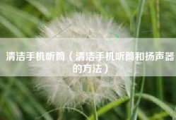 清洁手机听筒（清洁手机听筒和扬声器的方法）