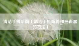 清洁手机听筒（清洁手机听筒和扬声器的方法）
