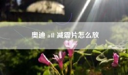 奥迪 a4l 减震片怎么放