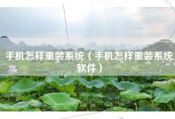 手机怎样重装系统（手机怎样重装系统软件）