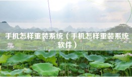 手机怎样重装系统(手机怎样重装系统软件)