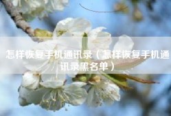 怎样恢复手机通讯录（怎样恢复手机通讯录黑名单）
